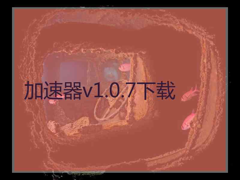 加速器v1.0.7下载