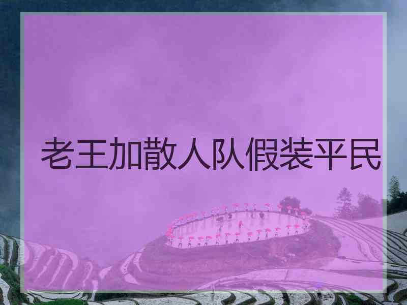 老王加散人队假装平民