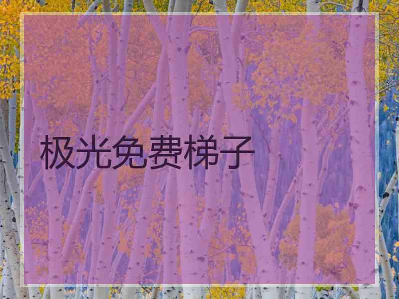 极光免费梯子