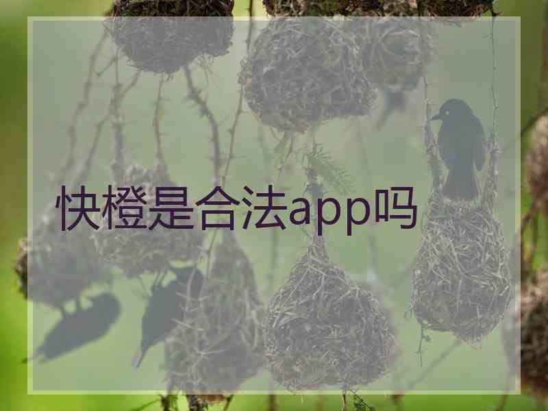 快橙是合法app吗