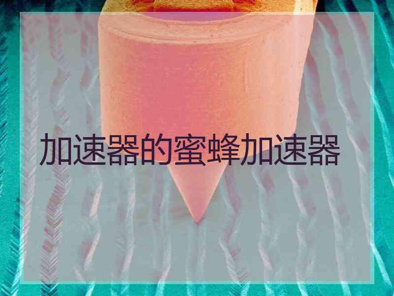 加速器的蜜蜂加速器