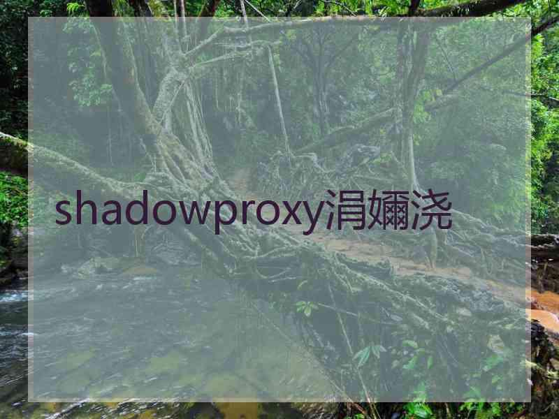 shadowproxy涓嬭浇