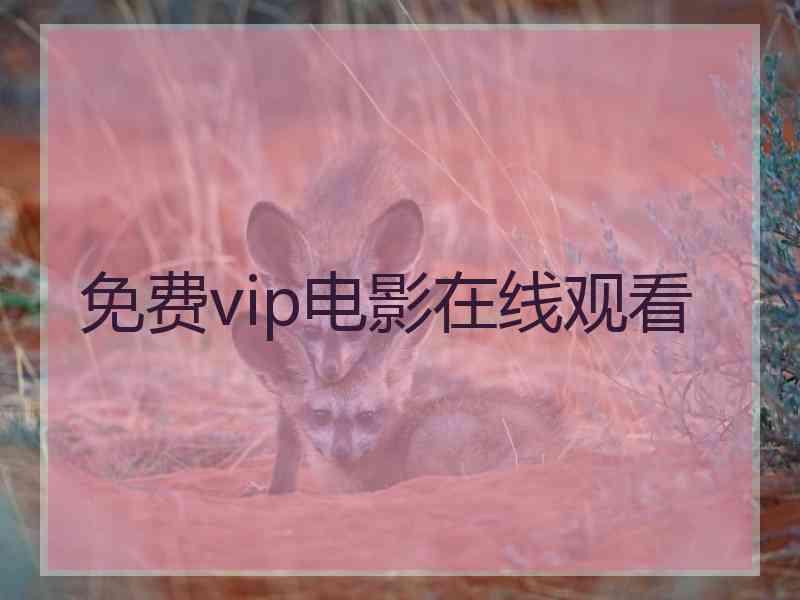 免费vip电影在线观看