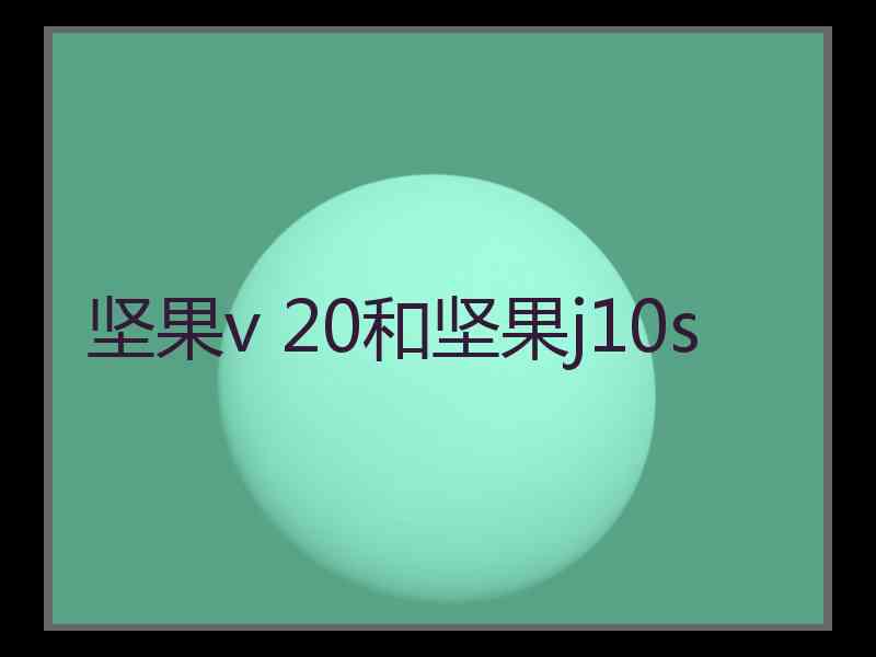 坚果v 20和坚果j10s