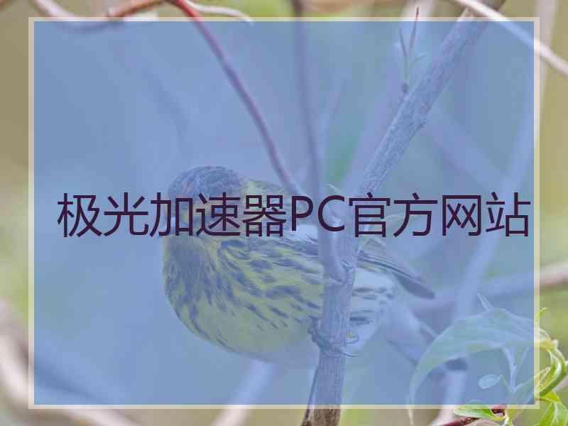 极光加速器PC官方网站