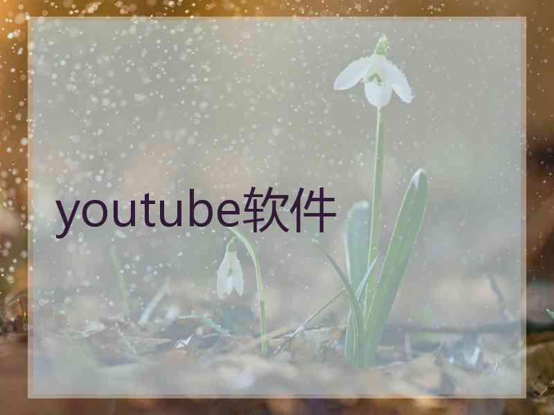 youtube软件