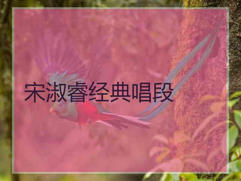 宋淑睿经典唱段