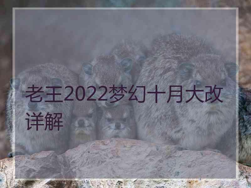 老王2022梦幻十月大改详解