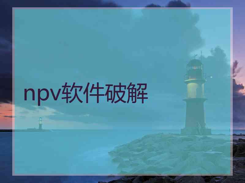 npv软件破解