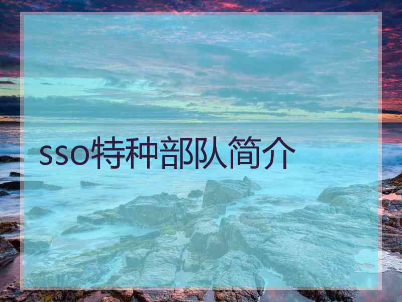 sso特种部队简介