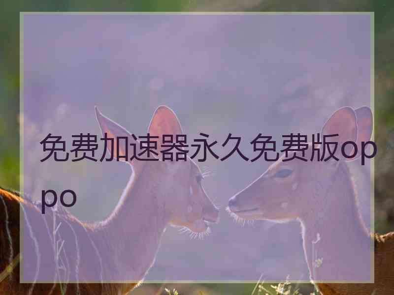 免费加速器永久免费版oppo