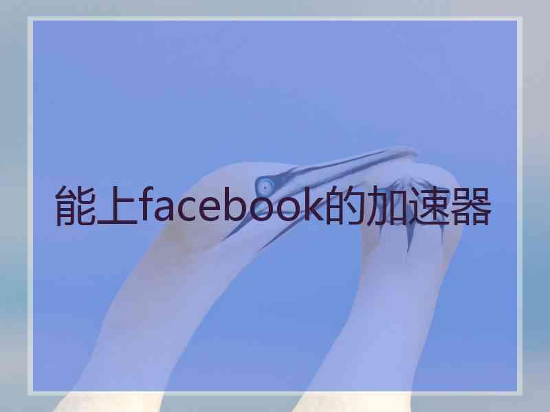 能上facebook的加速器