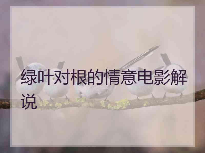 绿叶对根的情意电影解说