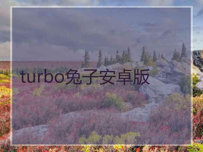 turbo兔子安卓版