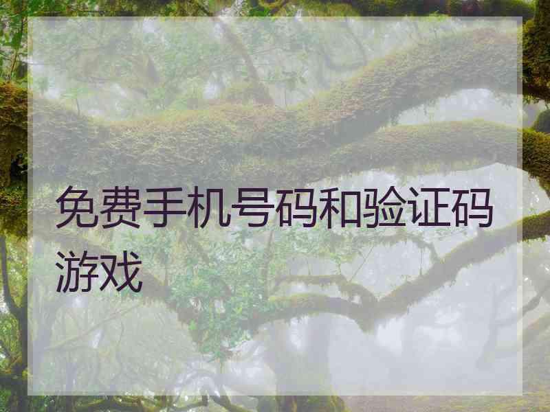 免费手机号码和验证码游戏