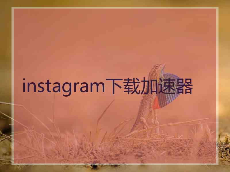 instagram下载加速器