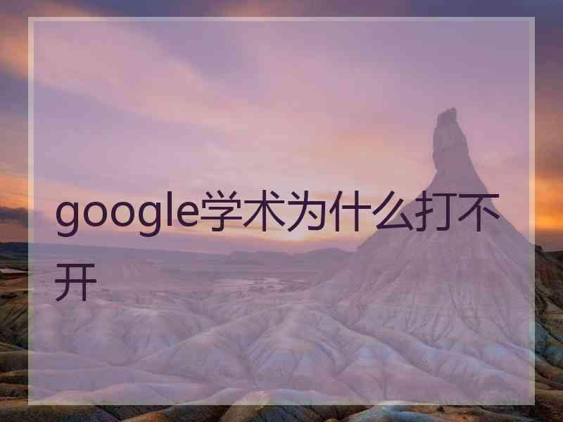 google学术为什么打不开