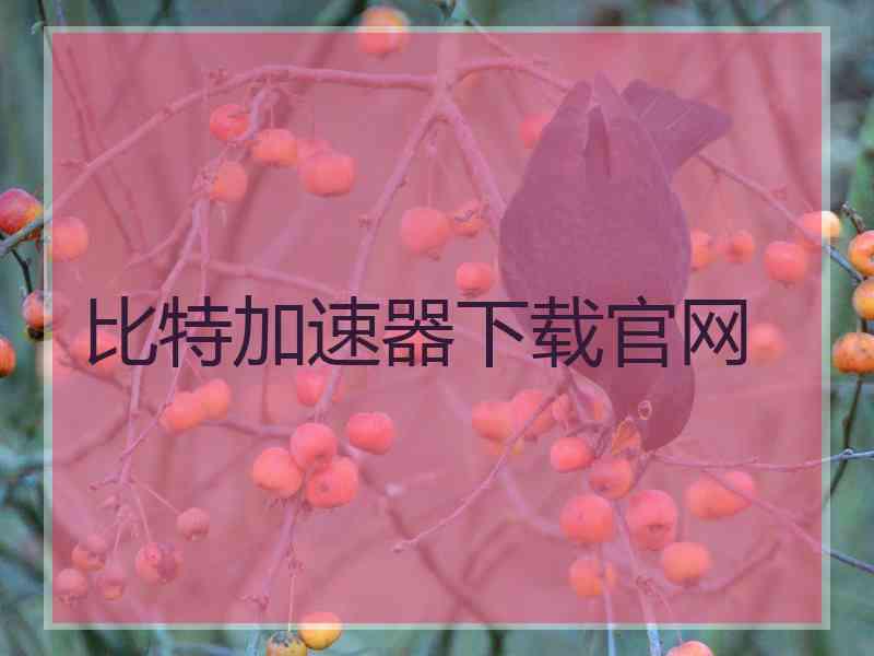 比特加速器下载官网