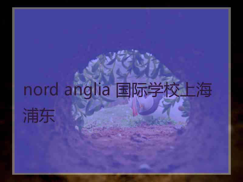 nord anglia 国际学校上海浦东