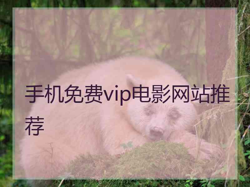 手机免费vip电影网站推荐