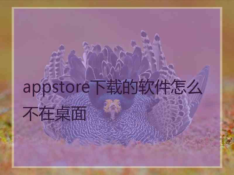 appstore下载的软件怎么不在桌面