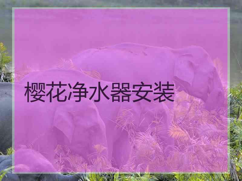 樱花净水器安装