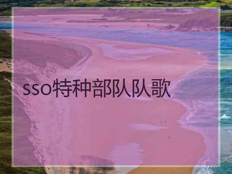 sso特种部队队歌