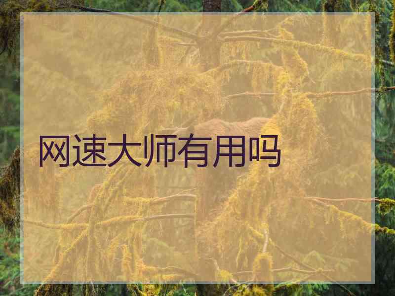 网速大师有用吗