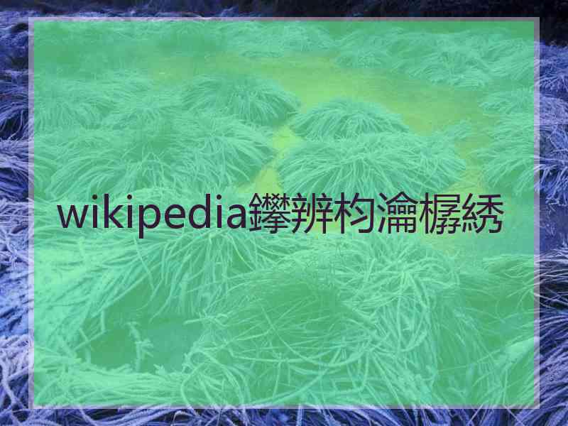 wikipedia鑻辨枃瀹樼綉