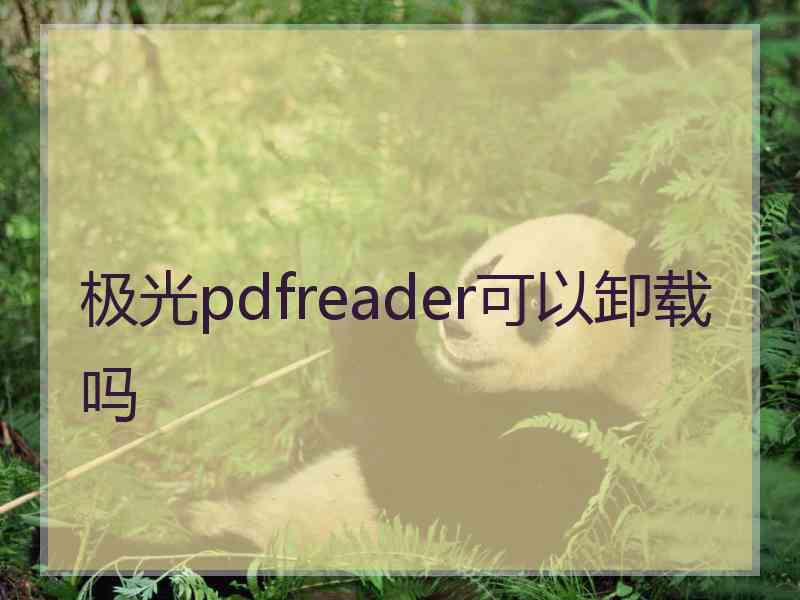 极光pdfreader可以卸载吗