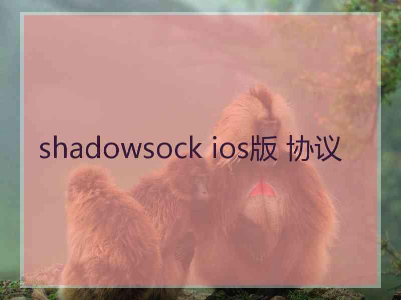 shadowsock ios版 协议