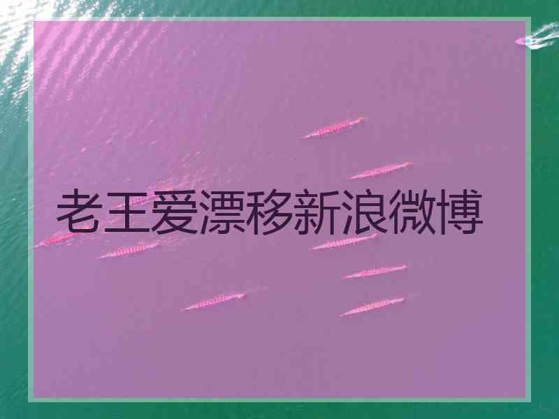 老王爱漂移新浪微博