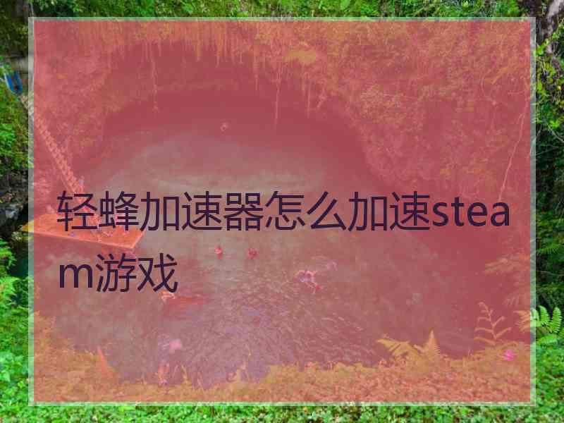 轻蜂加速器怎么加速steam游戏