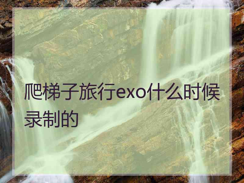 爬梯子旅行exo什么时候录制的