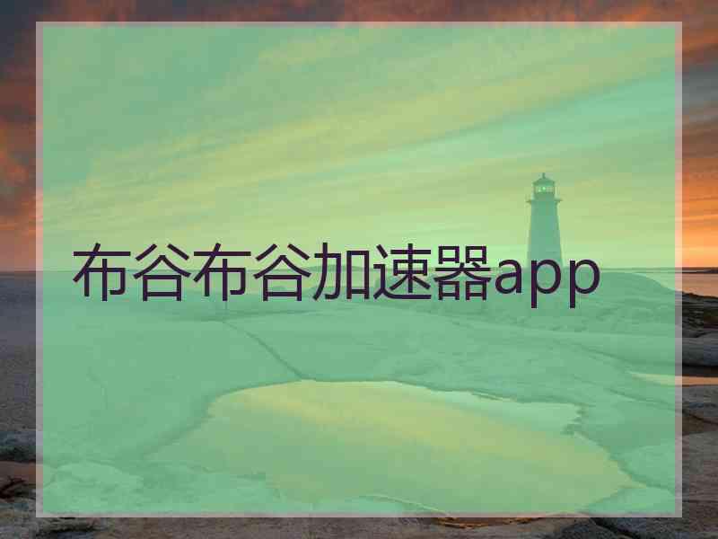 布谷布谷加速器app