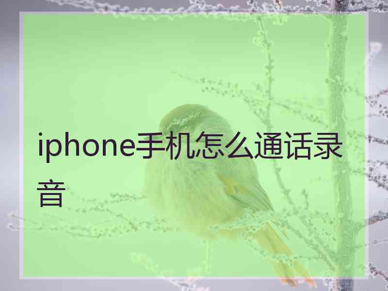 iphone手机怎么通话录音