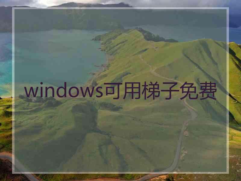 windows可用梯子免费