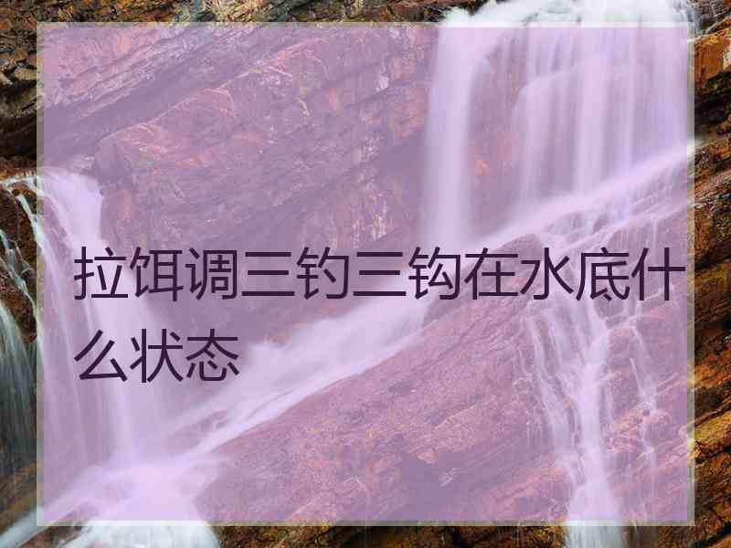 拉饵调三钓三钩在水底什么状态