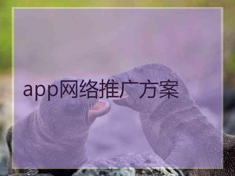 app网络推广方案