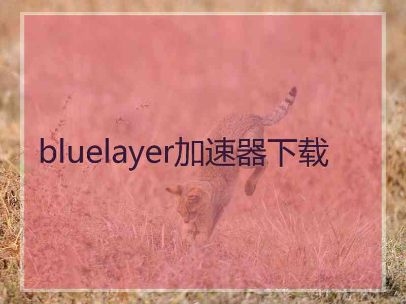 bluelayer加速器下载