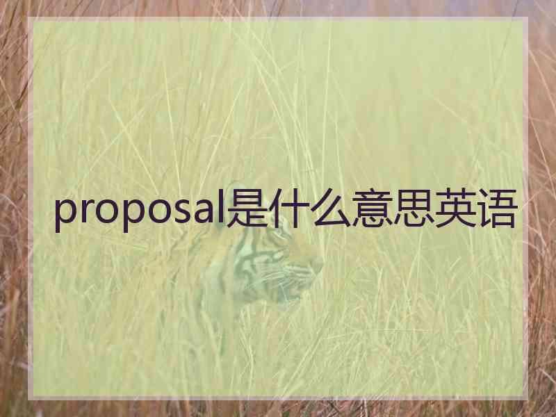 proposal是什么意思英语