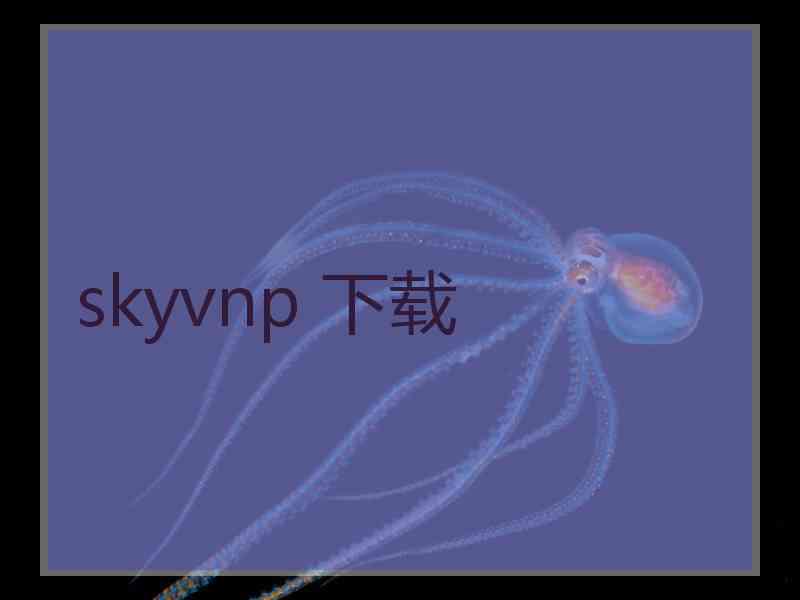 skyvnp 下载