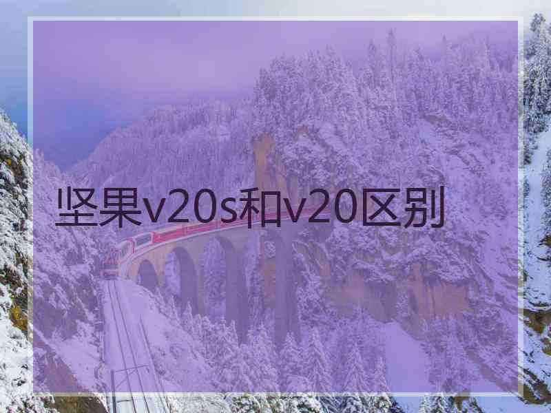 坚果v20s和v20区别