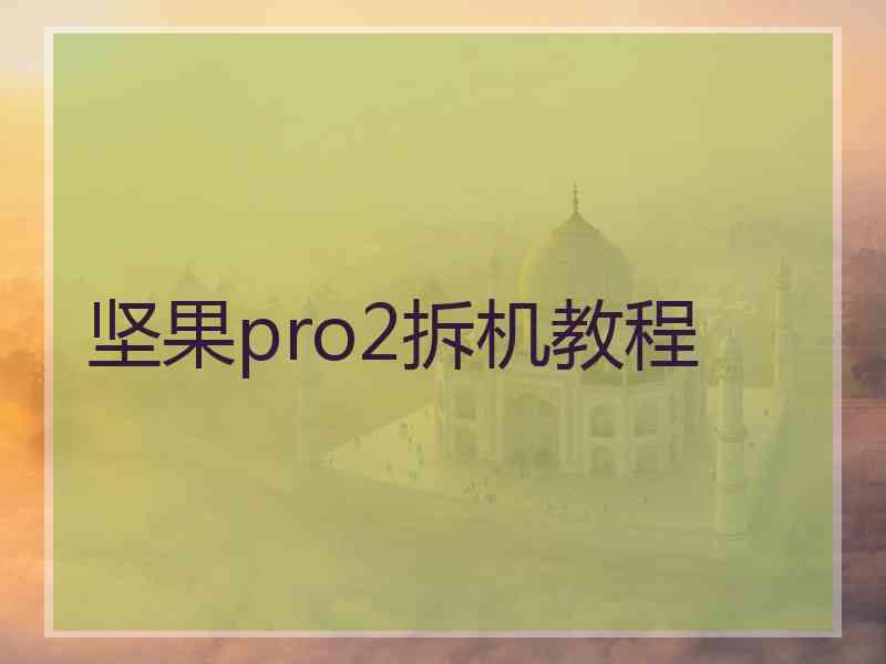 坚果pro2拆机教程