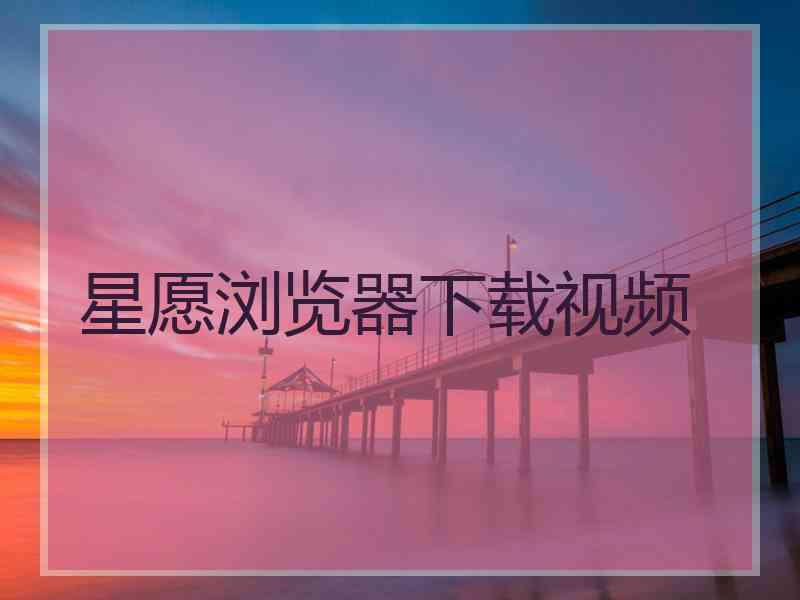 星愿浏览器下载视频