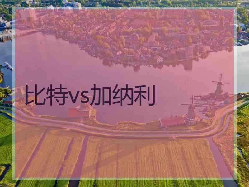 比特vs加纳利