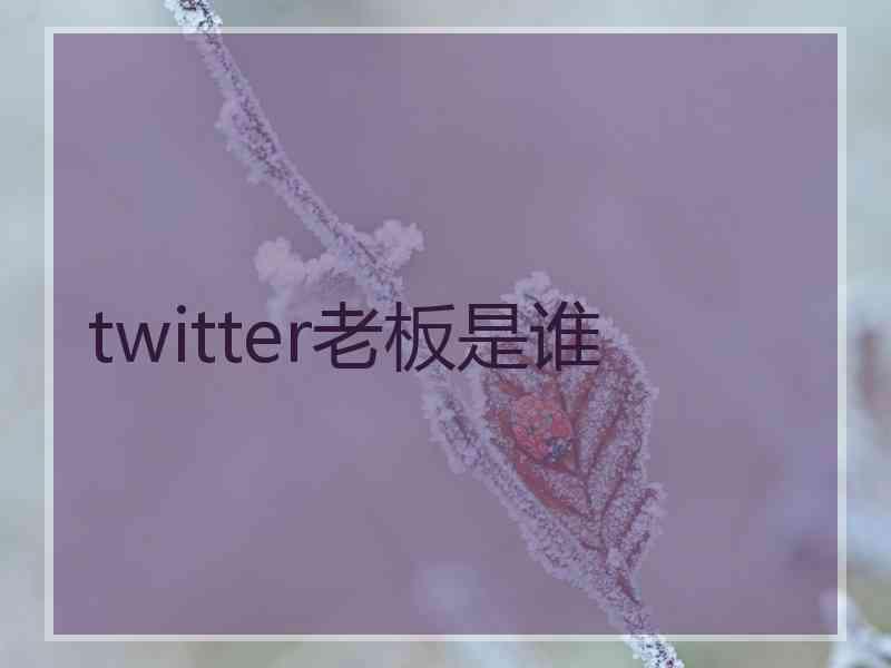 twitter老板是谁