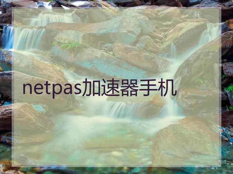 netpas加速器手机