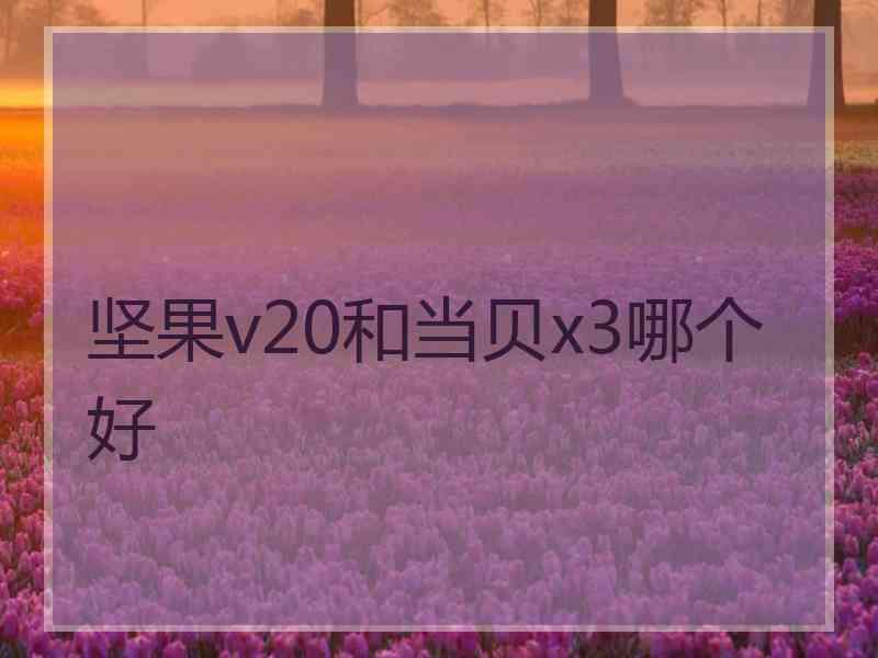 坚果v20和当贝x3哪个好