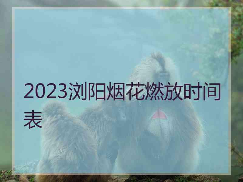 2023浏阳烟花燃放时间表